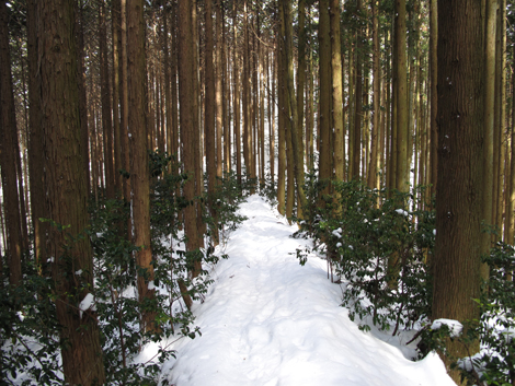 20140211hike (90)